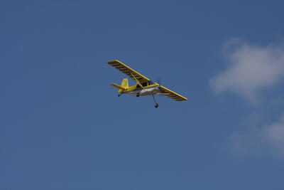 IMG 1701